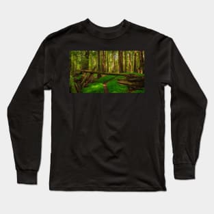 Redwood Forest Long Sleeve T-Shirt